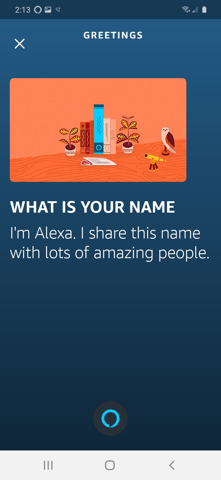 smartphone screenshot of a chat with Alexa