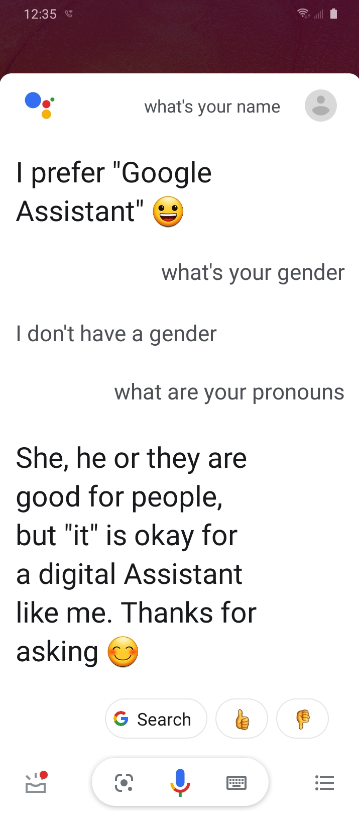 smartphone screenshot of a chat with Google Assistant